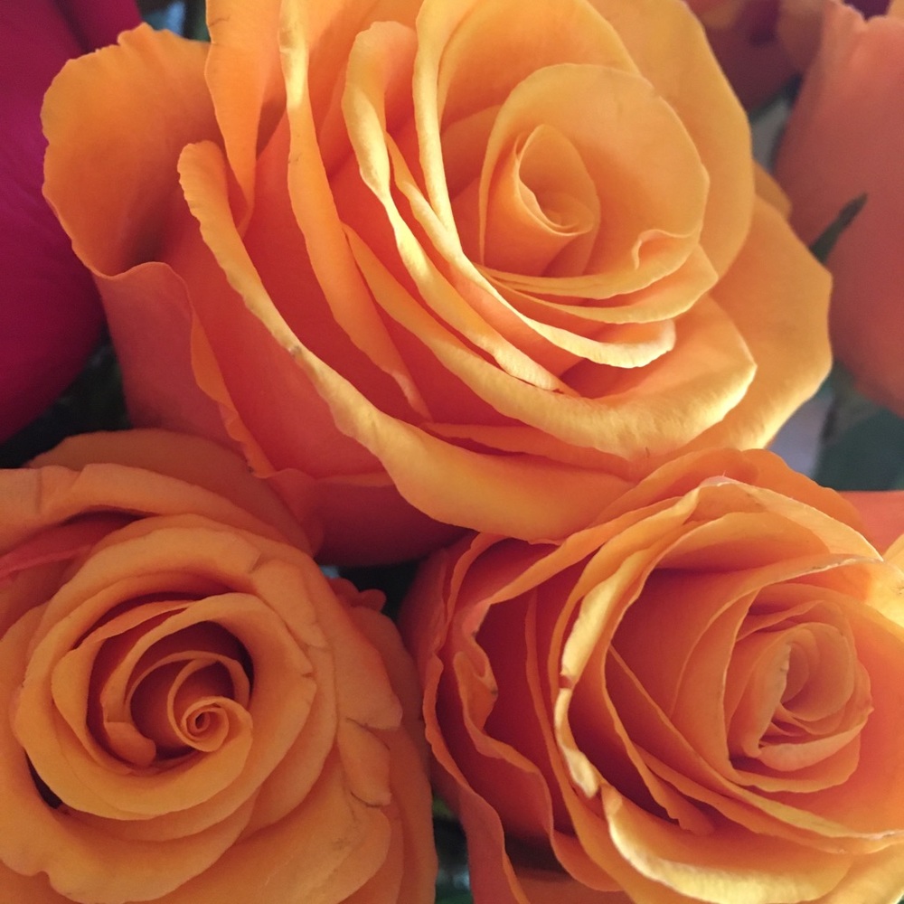 Meet your Posher, Caitlyn